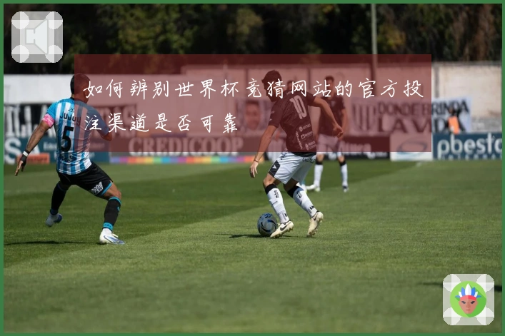 如何辨别世界杯竞猜网站的官方投注渠道是否可靠